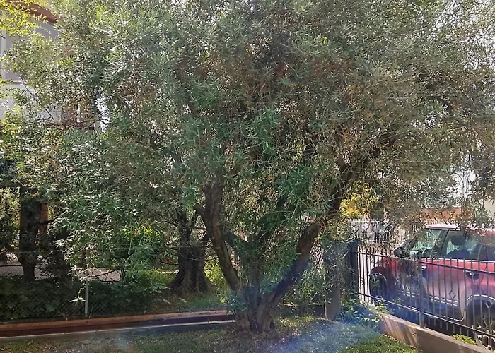 Wagner 11 Hotel apartamentowy